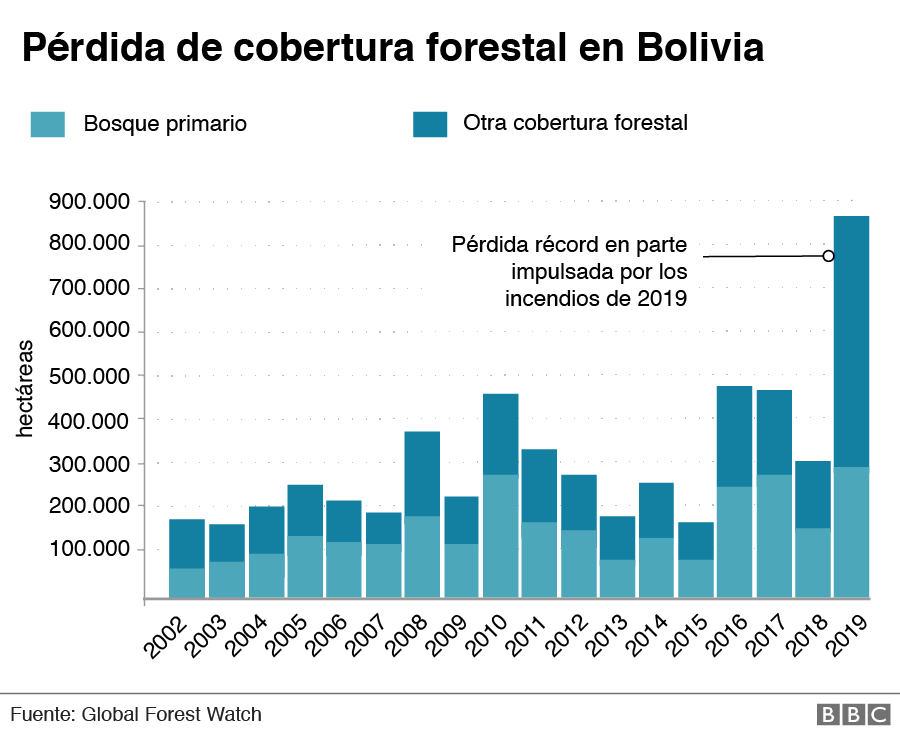perdida_forestal_2019_bolivia_0.png