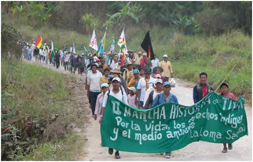 VIII MArcha fernando vargas.jpg