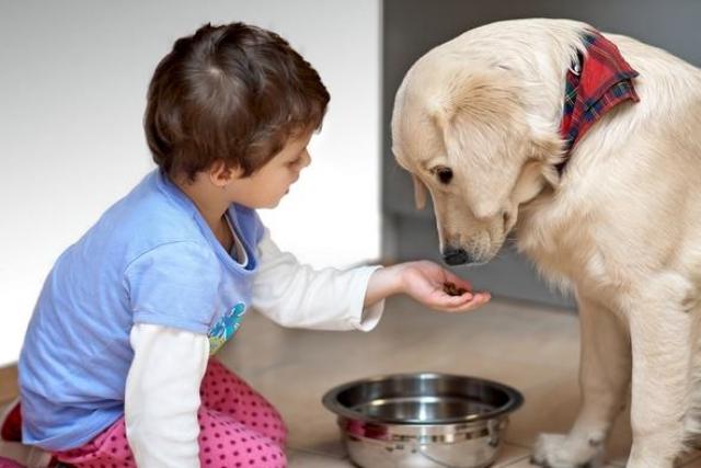 Cuidando Tu Mascota