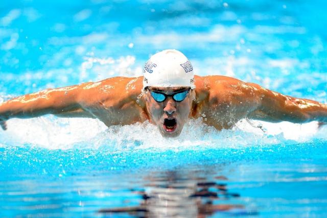 🌎 Estudio sobre los Beneficios de la Natación con Aletas: Nadar con  bialetas quema calorías y fortalece el corazón –